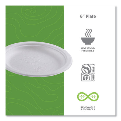 Vanguard Renewable and Compostable Sugarcane Plates, 6" dia, White, 1,000/Carton