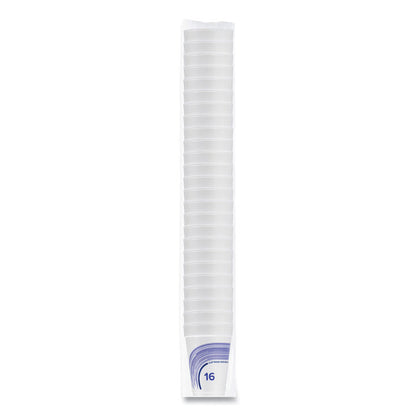 Breeze Hot/Cold Insulated Foam Drinking Cups, 16 oz, Purple/White/Blue, 1,000/Carton