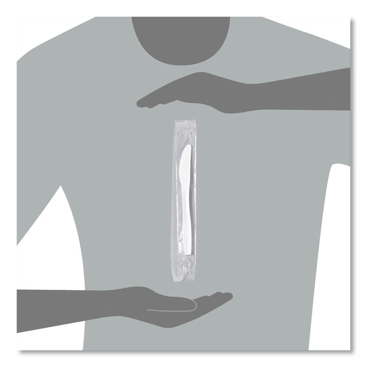 Regal Mediumweight Cutlery, Individually Wrapped, Knife, Plastic, White, 1,000/Carton