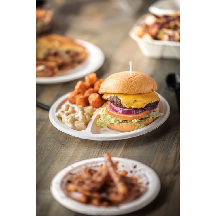 EarthChoice PFAS Free Compostable Dinnerware, 3-Compartment Plate, Sugarcane, 10.25" dia, Natural, 500/Carton
