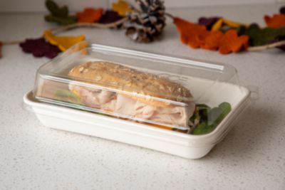 a18b043e27fd5118ebbc78c26cf09243