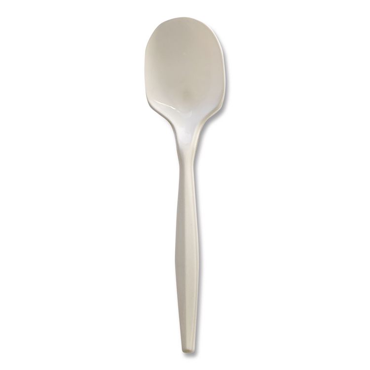 Mediumweight Wrapped Polypropylene Cutlery, Soup Spoon, 4.86", Plastic, White, 1,000/Carton