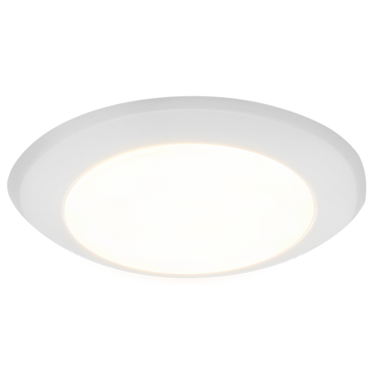 Best Lighting 4 in LED Disk 10 NW 800 Lumen 5CCT (DK4-8L-KFS)