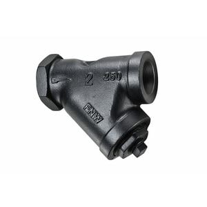 2 in. Wye Cast Iron NPT 20 Mesh Valve Strainer
