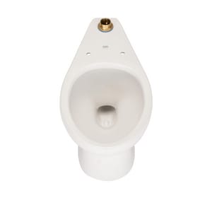 Ccy 1.1 Gpf Fm Eb Clst Whit