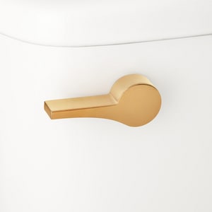 Flush Lev F/ *Braden Clst Bg