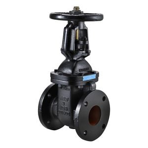 2 in. Cast Iron Flanged Gate Valve