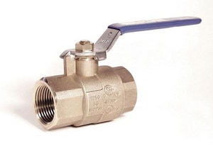 *Np 1-1/4 Brs Cp 600# Thrd Fp Bv