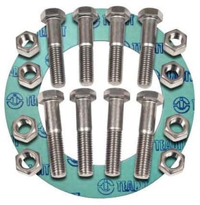 10 150# Zn Na 1/16 Rng Nbg Set