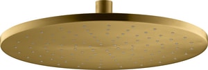 Single Function Showerhead in Vibrant Brushed Moderne Brass