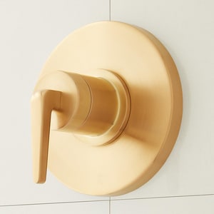 1Hdl P/Bal Valve Trim *Drea Bg