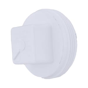 2 Pvc Dwv Raised Co Plug