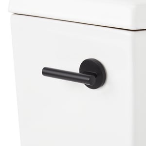Flush Lev F/ Clst Mb