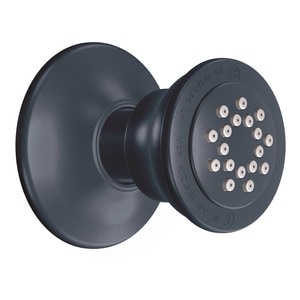 Ccy *Body Spry 1.75 Gpm