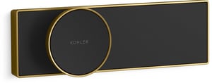 Anthem Digital Control 2-6 Ot