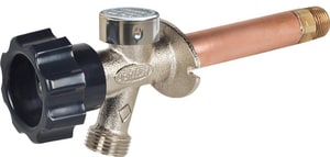 6 Mip Swt A/Siphon Nf Wall Hyd