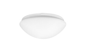 Frosted Replacement Glass