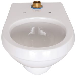 Ccy 1.1 Gpf Whit Eb W/ Antim Coat