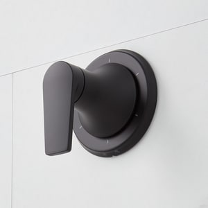 Single Handle Diverter Valve Trim in Matte Black