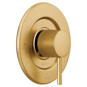 Moentrol Vlv Trim Bg