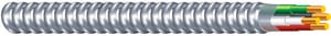 10/2 Armored Sld Mtl Clad Cbl