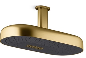 Multi Function Showerhead in Vibrant Brushed Moderne Brass